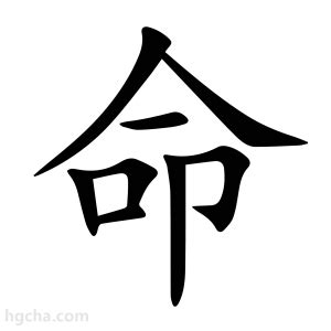 命 意思|命（汉语文字）